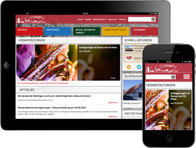 Screenshot der Mettinger Website